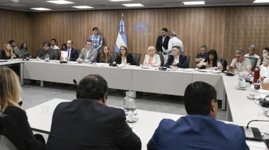 Fentanilo contaminado: qué dijeron los laboratorios en Diputados