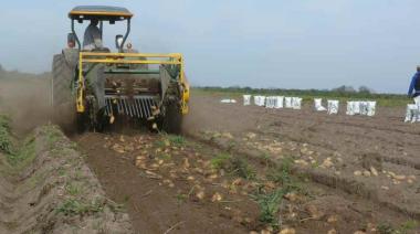 Los productores paperos del sudeste de Buenos Aires rechazaron el proyecto de suelos de CIAFBA