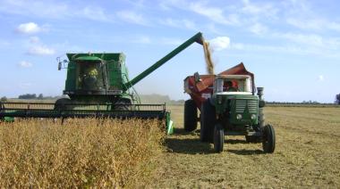 Según la FAUBA, certificar soja sin deforestación costará entre 1,28 y 4,20 dólares por tonelada