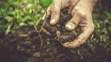 Polémica entre CIAFBA y el campo por un proyecto de ley sobre el cuidado del suelo en Buenos Aires 