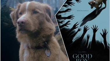 ¿Se vienen los Oscar para los animales? El pedido que surgió desde Good Boy