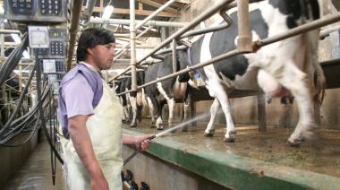 El INTA y el CONICET crearon la primera vacuna argentina contra la mastitis bovina