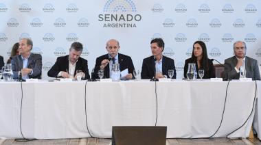 Biocombustibles: los proyectos de las senadoras Vigo y Ávila reactivan la discusión en el Congreso