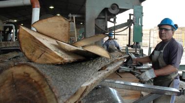 La industria de la madera argentina busca nuevos mercados y competitividad