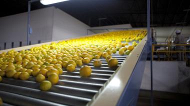 En 2025, las exportaciones de fruta generaron divisas por USD 856 millones.