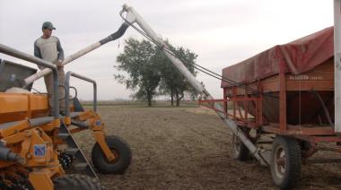 Granos, dólar y campaña gruesa: el combo que reactivó la importación de fertilizantes