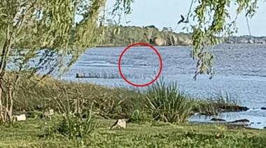 Hallaron sin vida al joven que había ingresado al río en Berisso