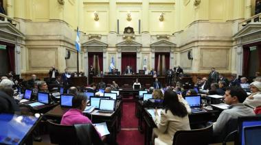 El Senado se prepara para revertir los vetos al Garrahan y a universidades