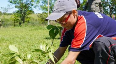 Misiones plantó 100.000 árboles nativos para restaurar la amenazada Selva Atlántica