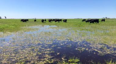 Inundaciones: "Están en juego alrededor de 2.000 millones de dólares"