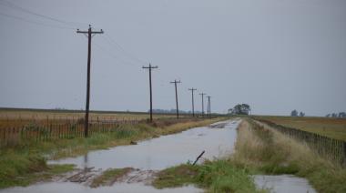 La semana del agro: entre las inundaciones en Buenos Aires, la paritaria aceitera y el trigo récord