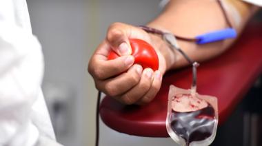 Día Nacional del Donante de Sangre: por qué una donación puede salvar hasta cuatro vidas