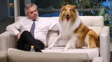 Murió Dylan, el perro de Alberto Fernández: la emotiva despedida