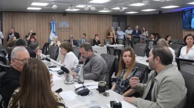 Diputados avanzan con proyectos sanitarios y ponen foco en la detección neonatal