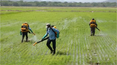 Pesticidas y fármacos contaminan ríos de Costa Rica: ¿cómo afecta a nuestra salud?