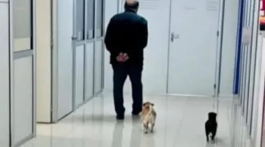 La foto viral de Juan José Mussi: el 'lado B' perruno con una poesía incluida