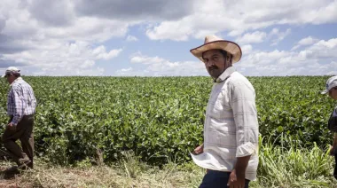 La sorprendente expansión de distritos en Paraguay que ocultan redes criminales