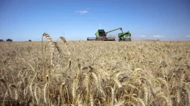 Con una súper cosecha récord, las exportaciones trigueras llegarán a USD 3.572 millones
