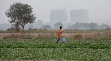 La COP28 y la COP30: ¿un nuevo camino para la agricultura?