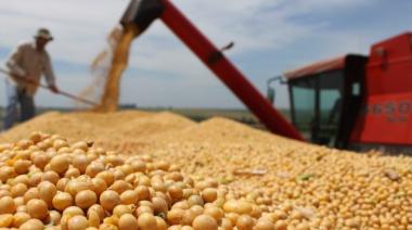 Soja: las exportaciones de la campaña 2024/25 fueron las más altas en diez años