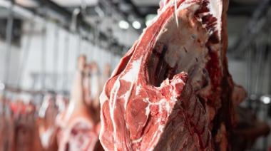 La carne vacuna no afloja y con menor volumen de exportaciones, ya superó los USD 3.000 millones