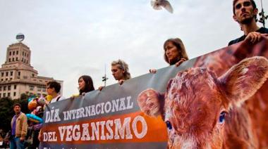 1 de noviembre: Día Mundial del Veganismo y el natalicio de Margarita Sánchez de Thompson