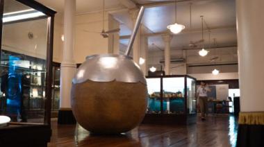 Descubrí el ritual matero: actividades imperdibles para celebrar el Día del Mate