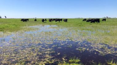 CARBAP cruzó a Kicillof por la suba del Inmobiliario Rural: “Totalmente fuera de lugar”