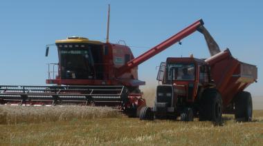 Cosecha de trigo: anticipan una campaña que promete oxígeno al Gobierno y dólares frescos a fin de año