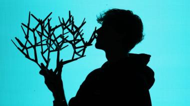 Jannik Sinner, intratable: campeón en París y regreso al N° 1 del mundo