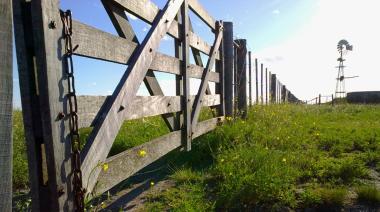 Inmobiliario Rural: desde ARBA responden al campo y afirman que la prórroga de la ley los obliga al cobro