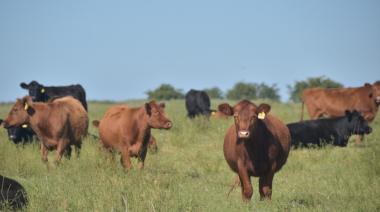 Los warrants crecieron 102% y ya superan todo lo emitido en 2024