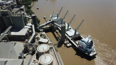 Los exportadores criticaron la decisión de la UE de prorrogar normativa sobre deforestación