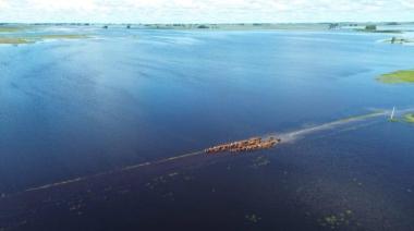 Se agrava el desastre en el campo bonaerense: ya son 5 millones las hectáreas afectadas por lluvias 