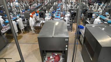 Europa retrasó la normativa antideforestación y Argentina gana un año para afinar sus exportaciones