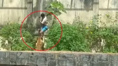 El caso del joven con esquizofrenia muerto por una leona que Brasil prefiere no mirar