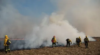 Quemas en el Delta del Paraná: el fallo de la Corte que complica a varios gobiernos