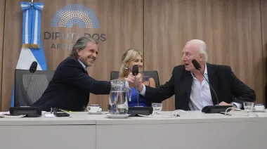 Oficialismo refuerza su poder en Diputados: cómo usarán Legislación Penal y Presupuesto