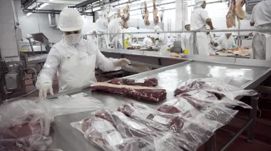 En 2025, las exportaciones de carne generaron divisas por USD 3.531,3 millones
