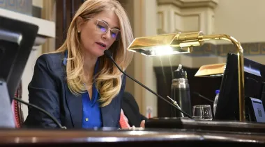 El Senado bonaerense incompleto: Habrá dos bancas sin ocupar por los próximos meses