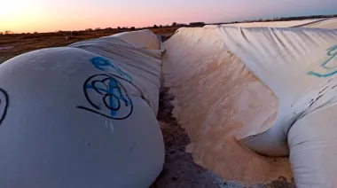 CRA impulsa una reforma del Código Penal, para crear la figura de “Vandalismo rural”