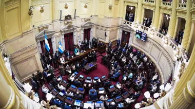 Jornada clave en el Senado: cómo puede cambiar el financiamiento educativo y científico