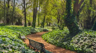 Cómo funcionan los refugios climáticos para protegerse de las altas temperaturas