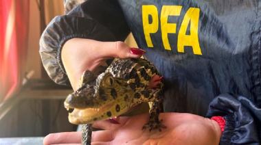 Detienen a un vidente en Buenos Aires por utilizar animales protegidos en rituales espiritistas