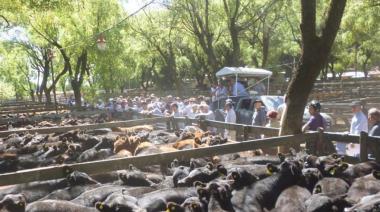 “Hubo valores nunca vistos”: la ganadería en Buenos Aires cierra un año histórico, pero detecta señales de alerta 