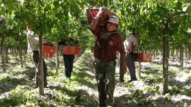 Reforma laboral: el agro acompaña y la SRA reclama para actualizar la ley del trabajo rural