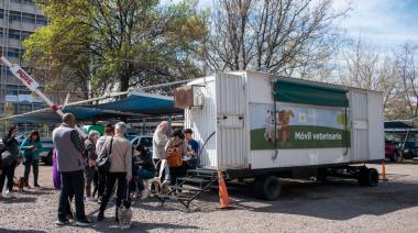 Hospital veterinario público en Mendoza: dónde se construirá y qué ofrecerá