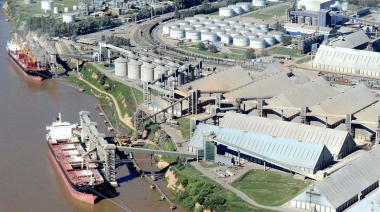 En 2025, la agroindustria cerró el año con exportaciones por USD 31.338 millones