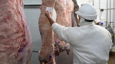 El ROSGAN alertó por la fuerte dependencia de China en las exportaciones de carne vacuna