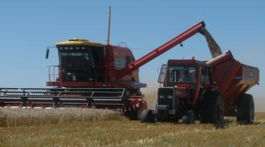 Argentina logra la mayor cosecha de trigo de su historia, pero los precios no acompañan